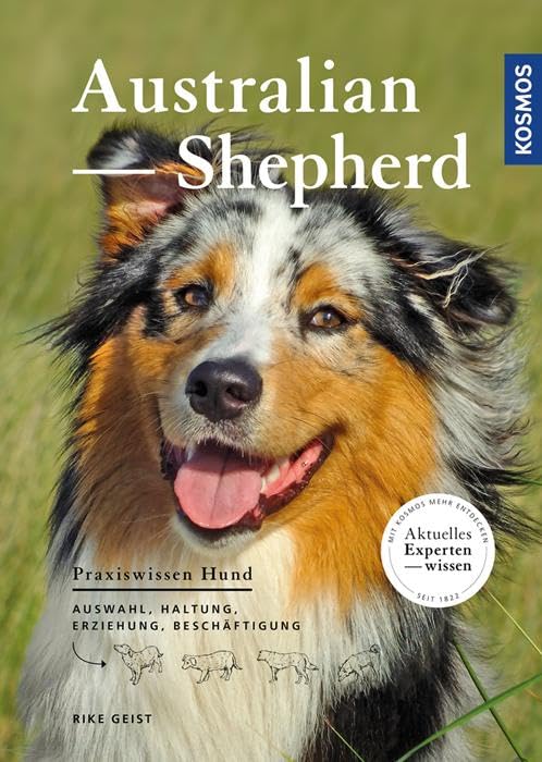 Australian Shepherd Pets