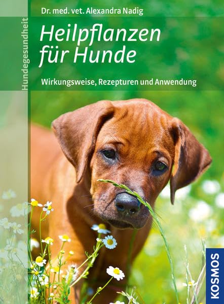 Heilpflanzen für Hunde Pets