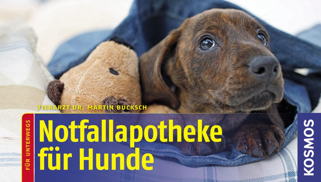 Notfallapotheke für Hunde: für unterwegs Pets