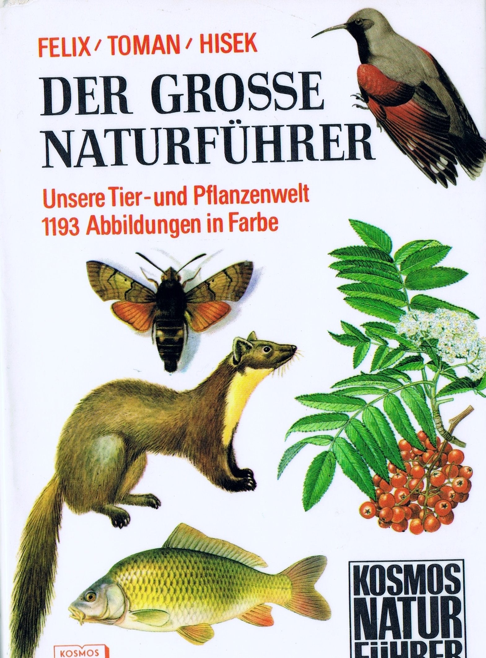 Der große Kosmos-Naturführer Tiere und Pflanzen: Über 1900 Arten Leisure, Home & Garden