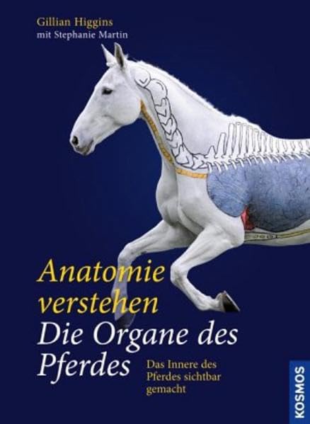 Anatomie verstehen - Die Organe des Pferdes Medicine