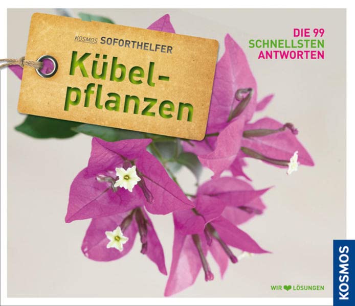 Product Image: Kübelpflanzen