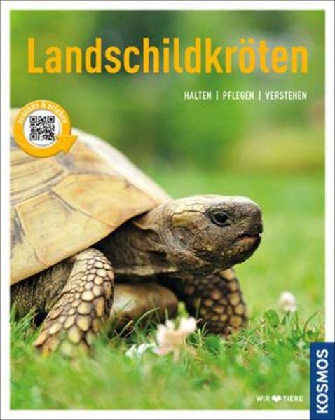 Landschildkröten Pets