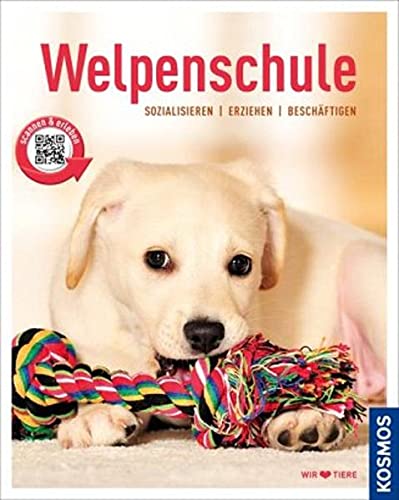 Welpenschule Pets