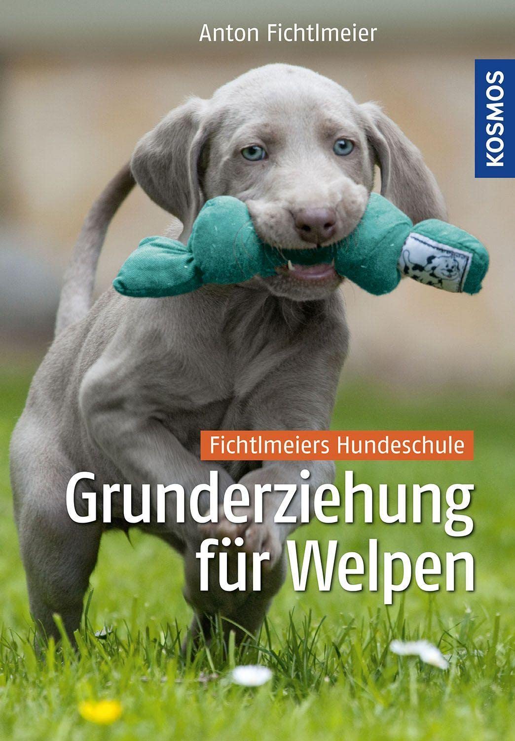 Grunderziehung für Welpen Pets