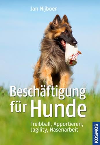 Beschäftigung für Hunde Pets