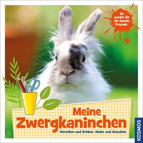 Meine Zwergkaninchen Pets