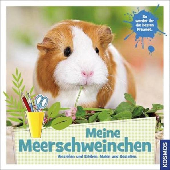 Meine Meerschweinchen Pets