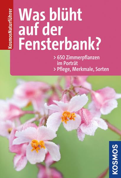 Was blüht auf der Fensterbank? Garden & Plants