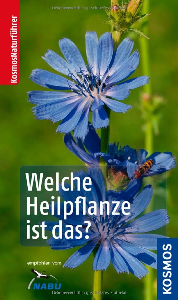 Welche Heilpflanze ist das? book