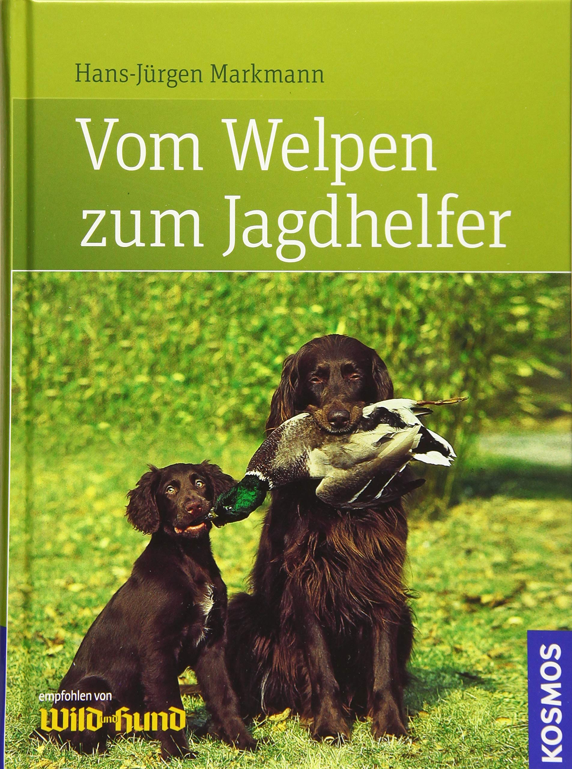 Vom Welpen zum Jagdhelfer Leisure & Fun