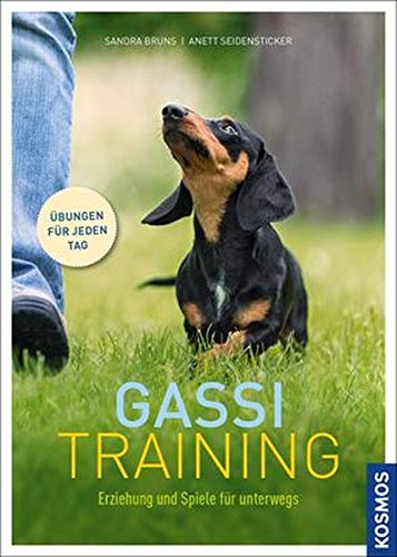 Gassi-Training Pets