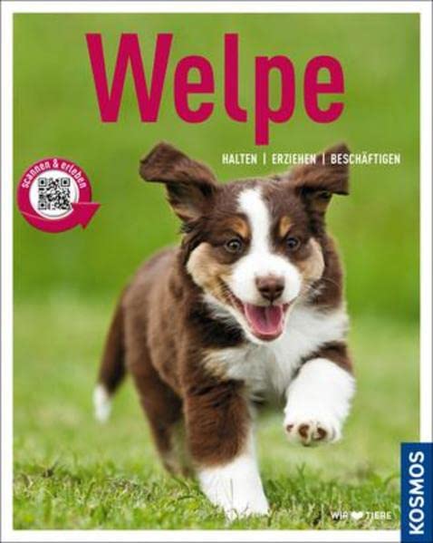 Welpe Pets