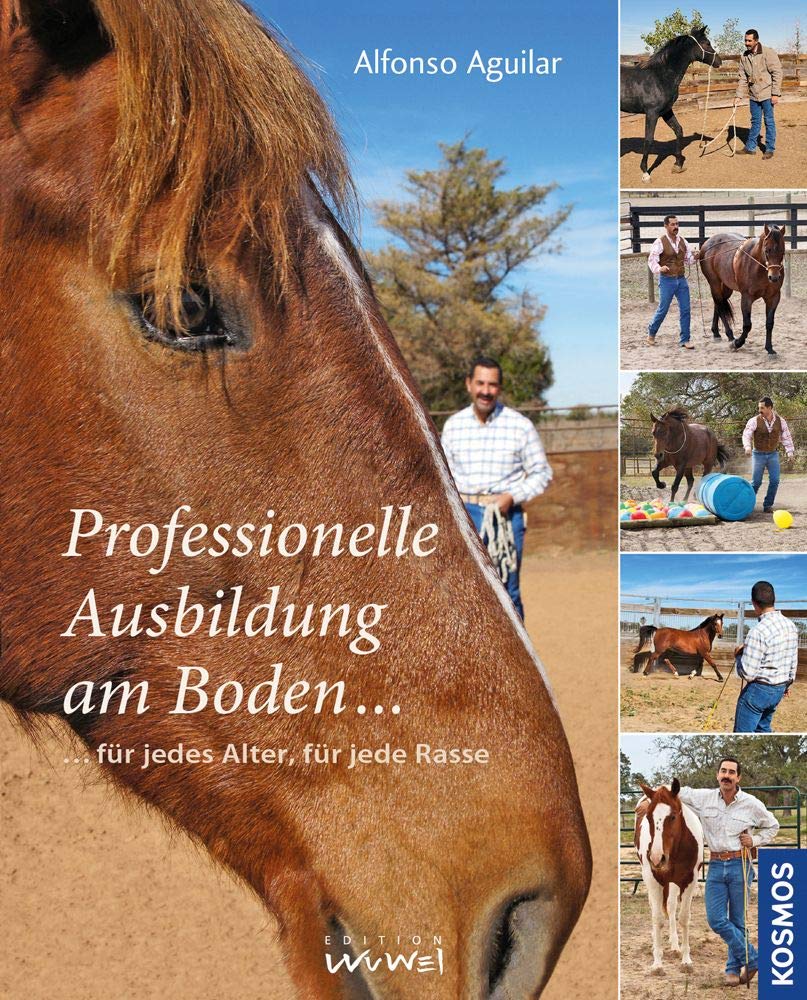 Professionelle Ausbildung am Boden Pets