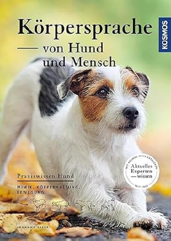 Körpersprache von Hund und Mensch Pets