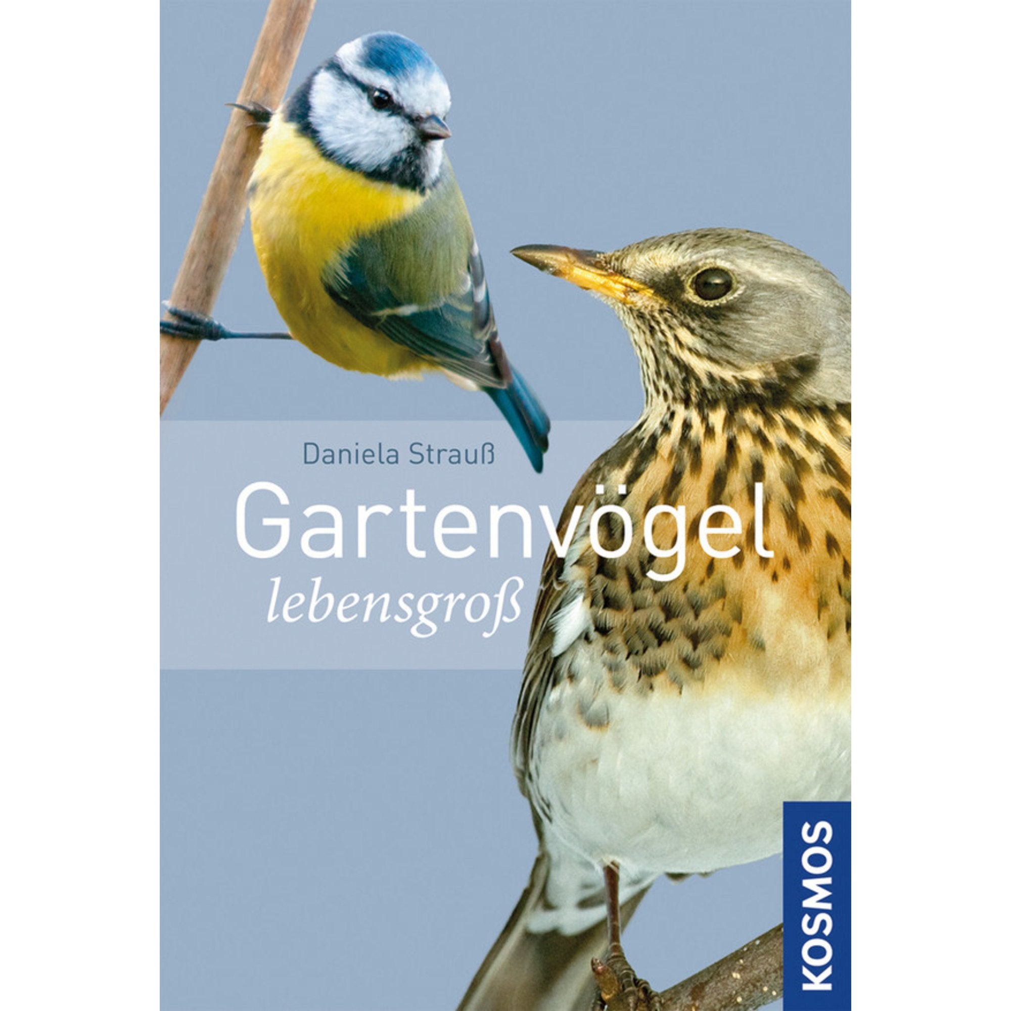 Product Image: Gartenvögel lebensgroß