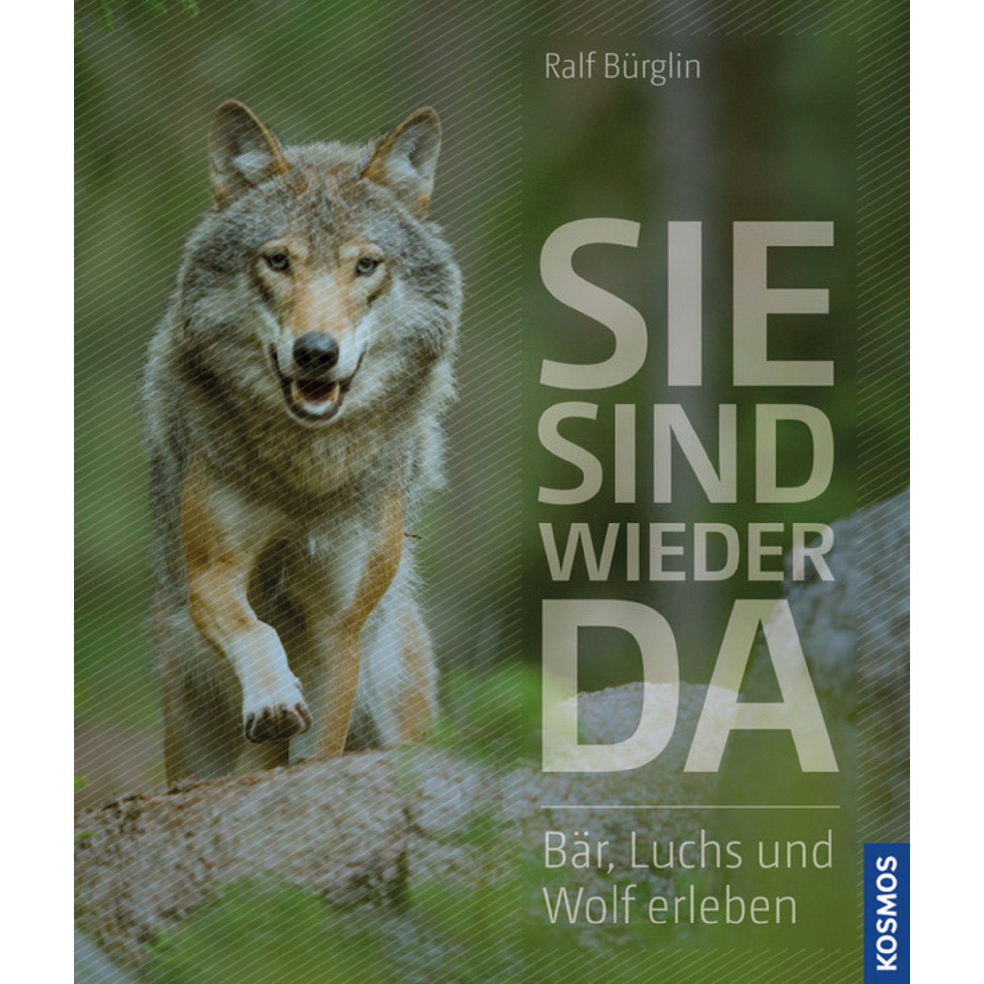 Product Image: Sie sind wieder da
