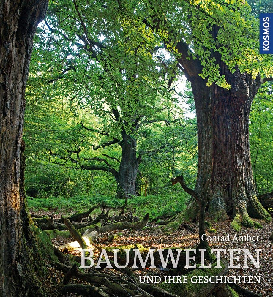 Baumwelten: und ihre Geschichten Garden & Plants