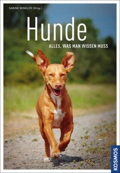 Hunde - alles, was man wissen muss Pets