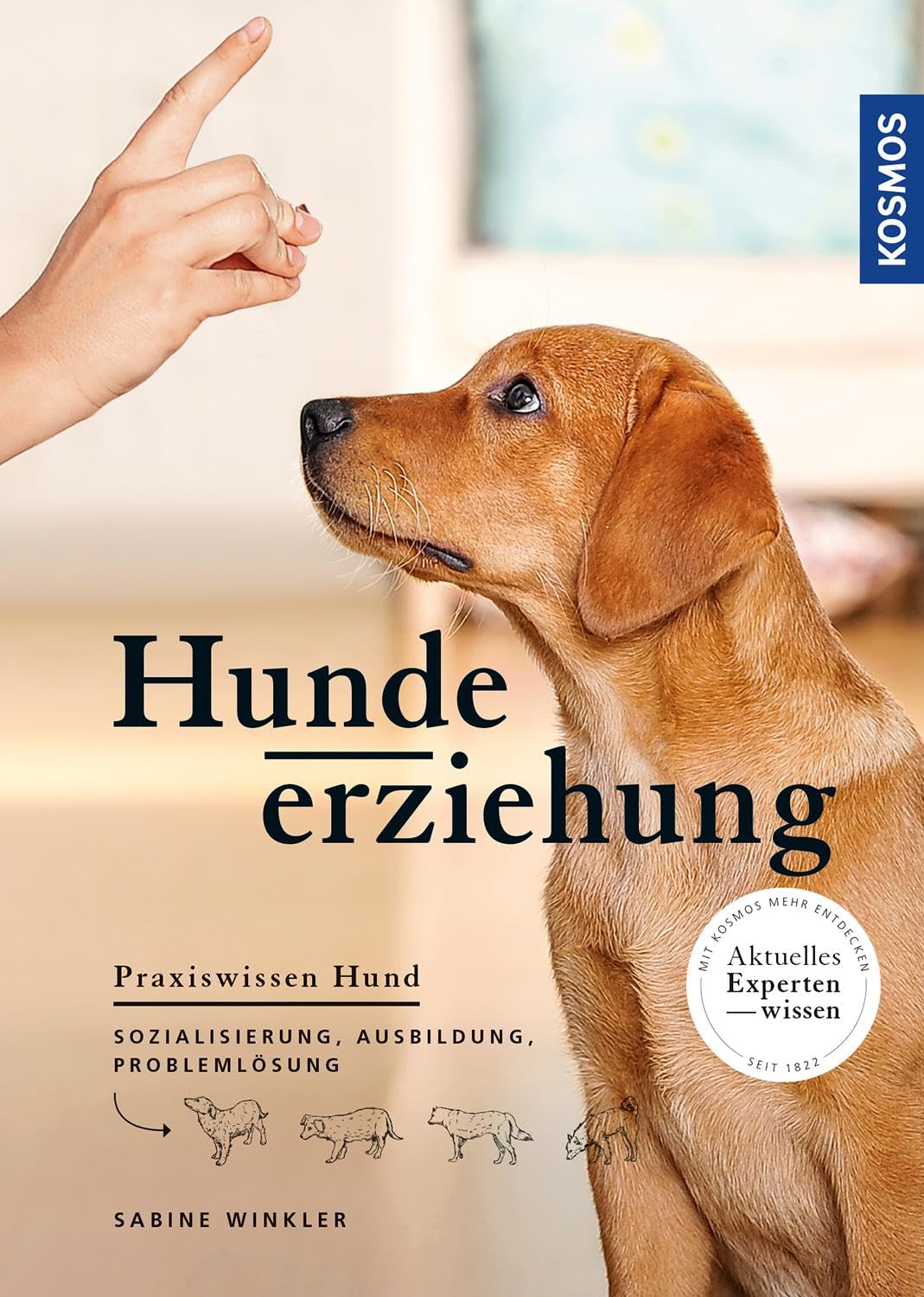 Product Image: Hundeerziehung