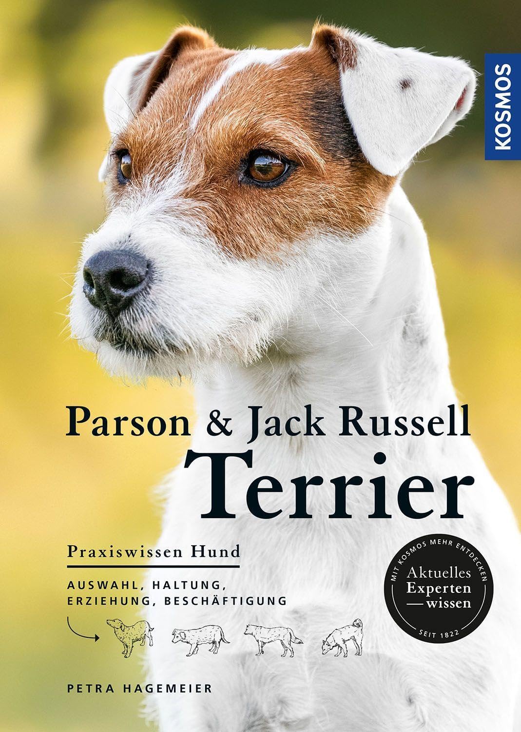 Parson und Jack Russell Terrier Pets