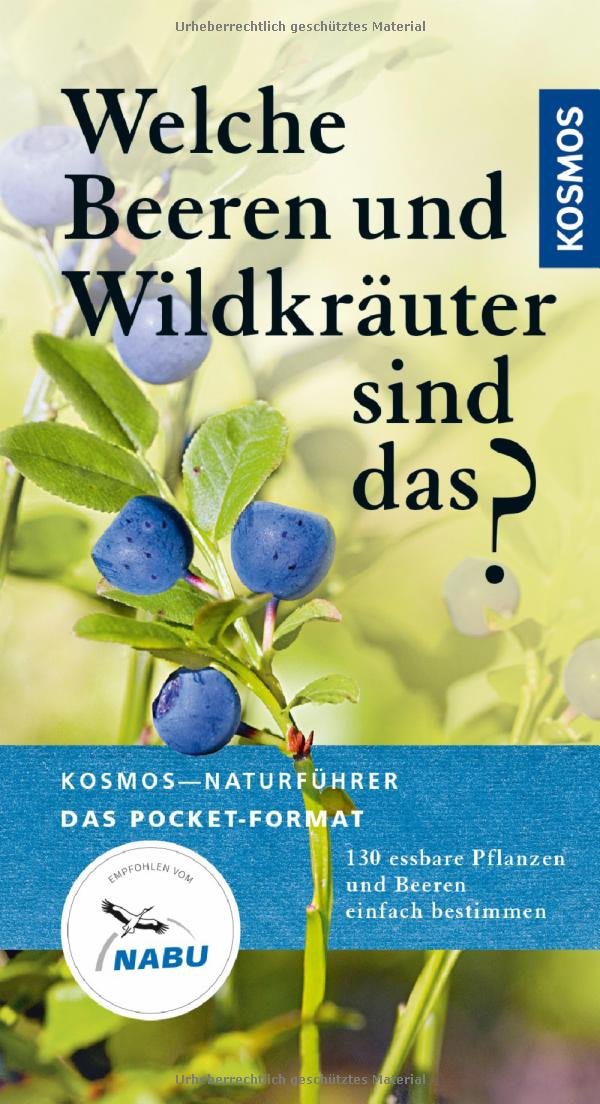 Welche Beeren und Wildkräuter sind das? Garden & Plants