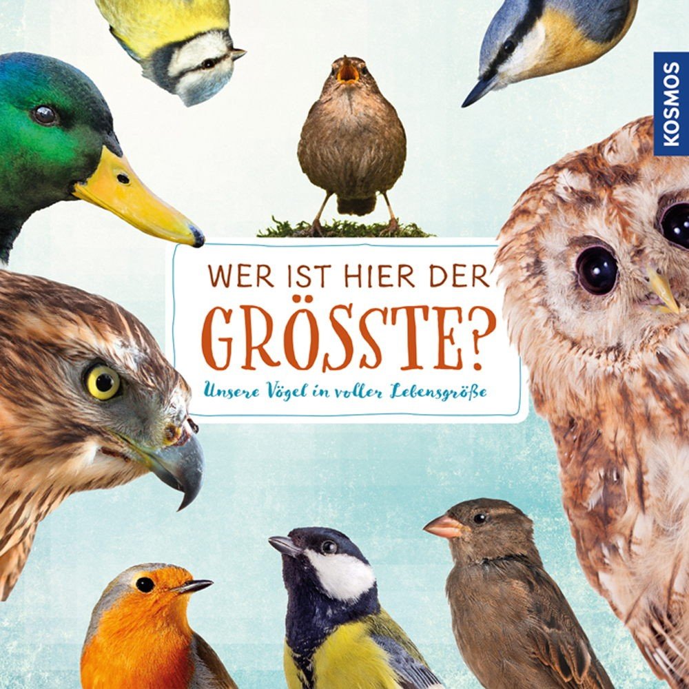 Wer ist hier der Größte? Non-fiction books for kids