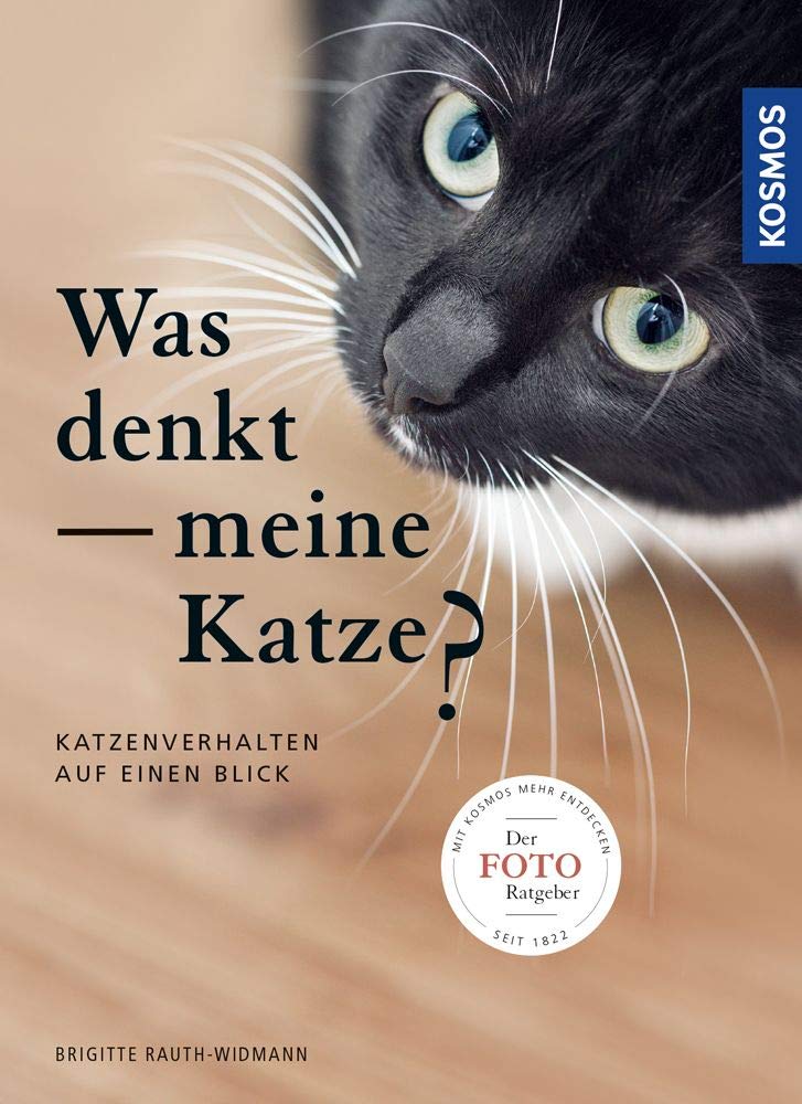 Was denkt meine Katze Pets