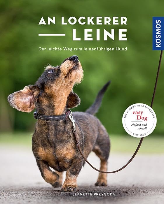 An lockerer Leine Pets