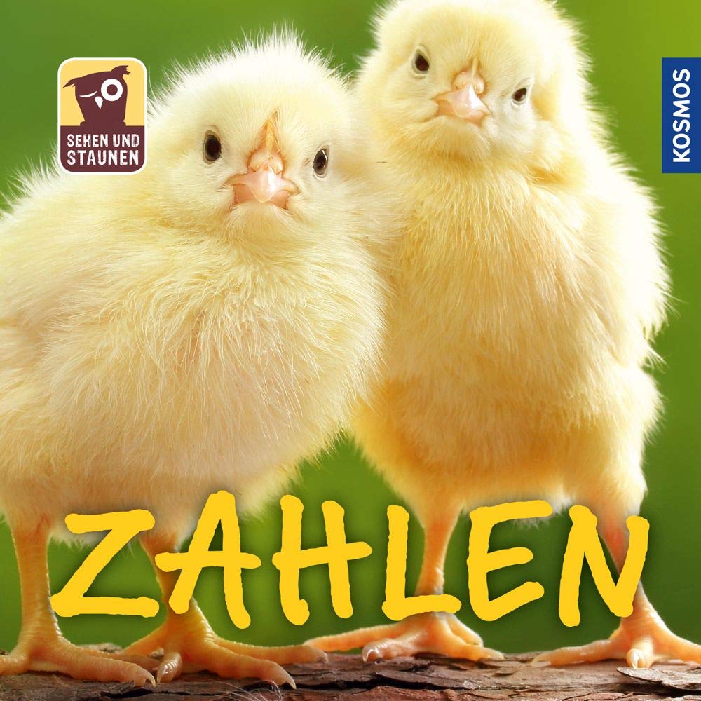 Sehen und Staunen: Zahlen Non-fiction books for kids