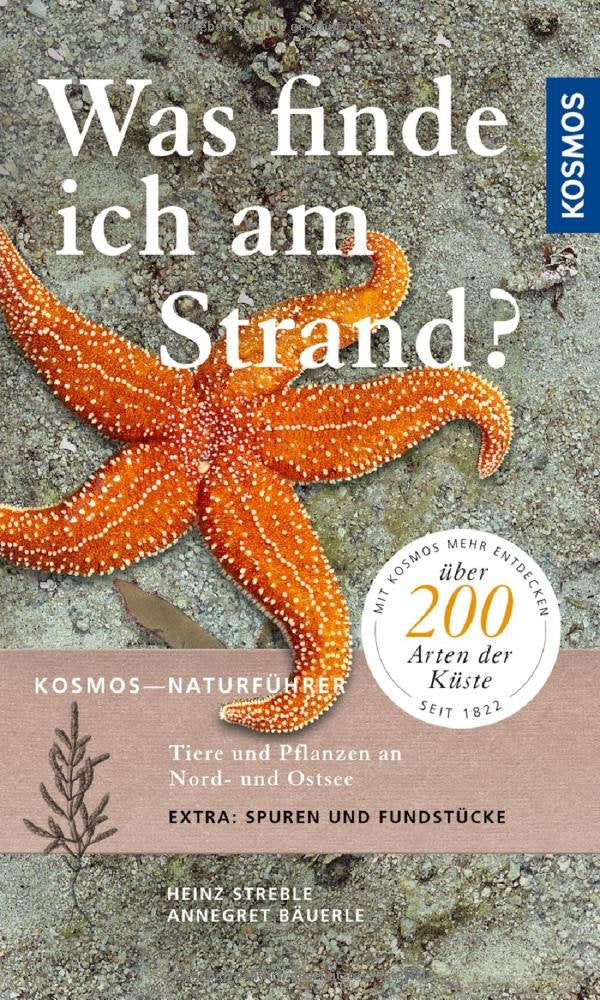 Product Image: Was finde ich am Strand?