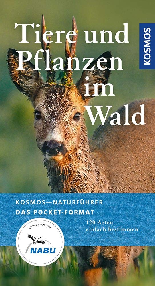 Tiere und Pflanzen im Wald: 120 Arten einfach bestimmen (Kosmos-Naturführer Basics) Science