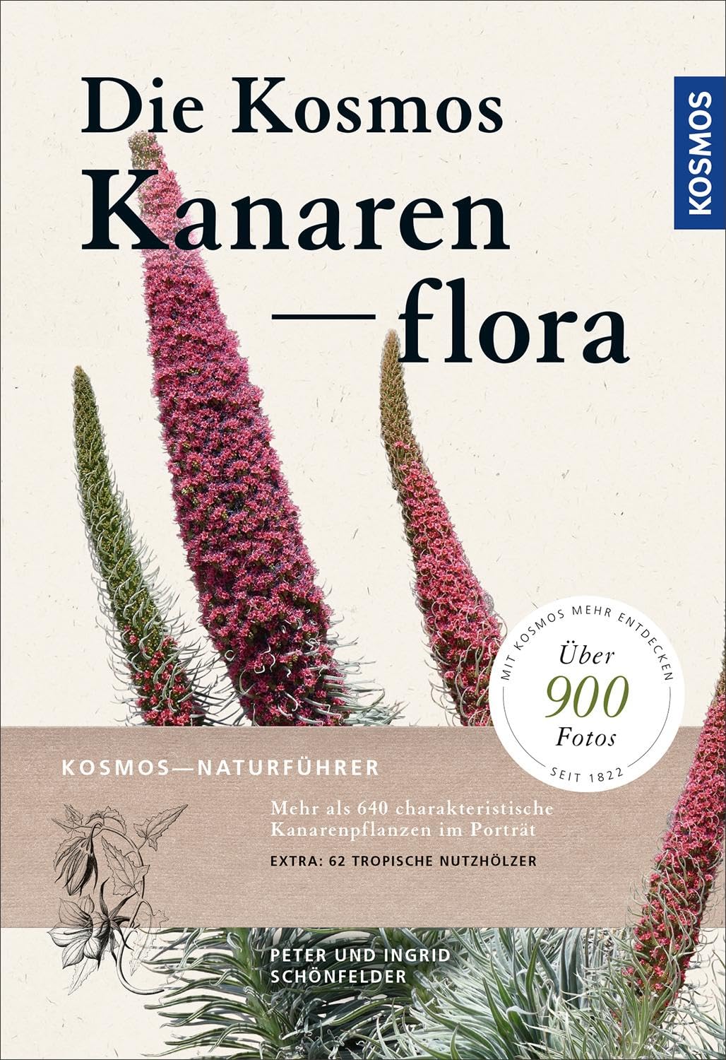 Die Kosmos-Kanarenflora Leisure, Home & Garden