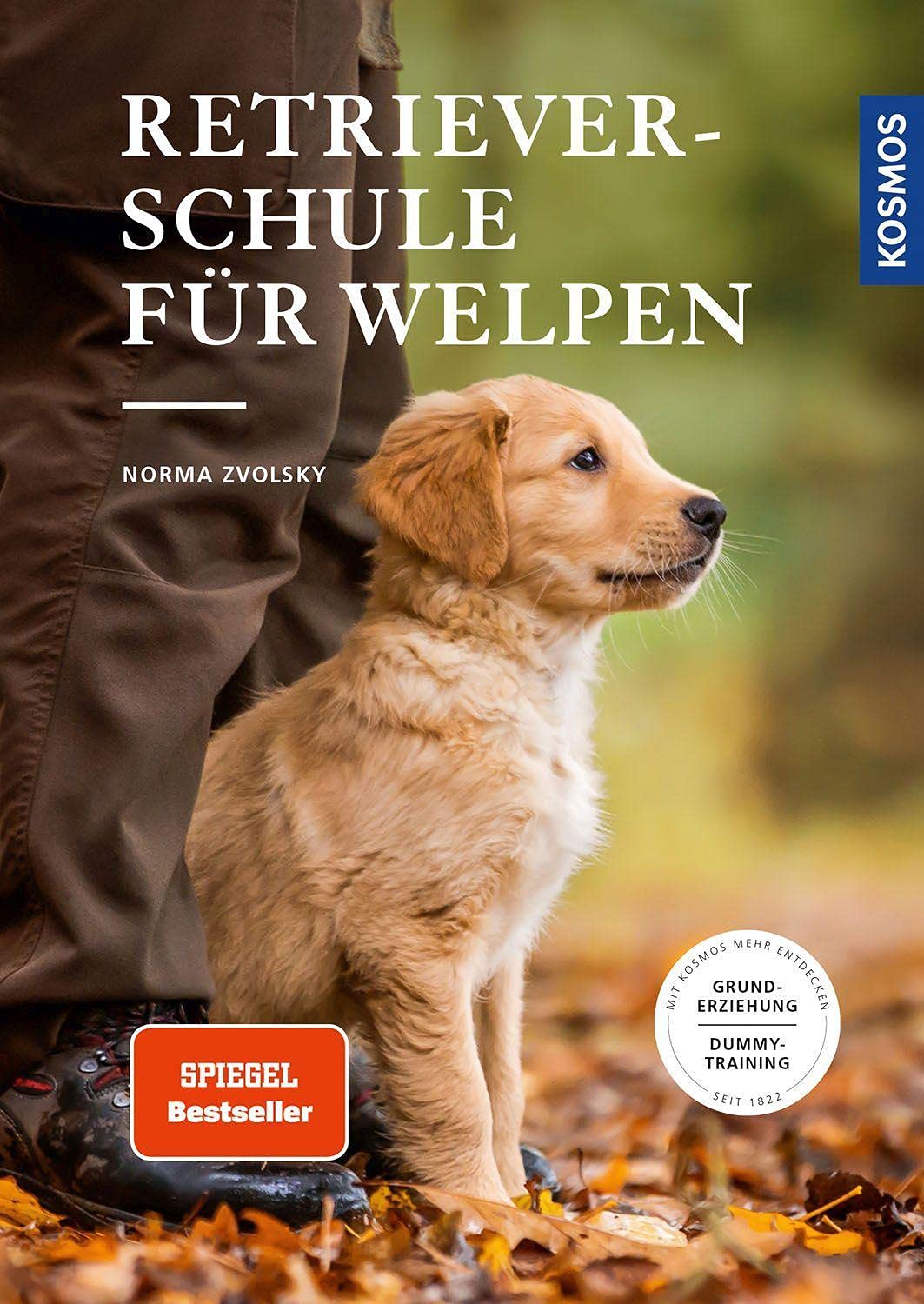 Retrieverschule für Welpen Pets