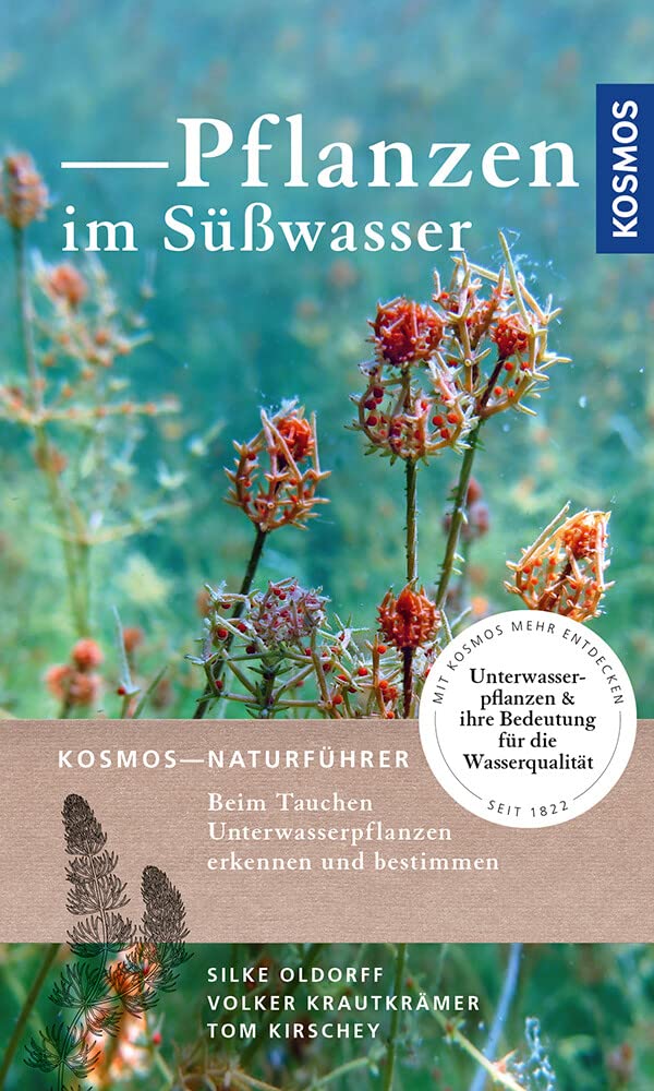 Product Image: Pflanzen im Süßwasser