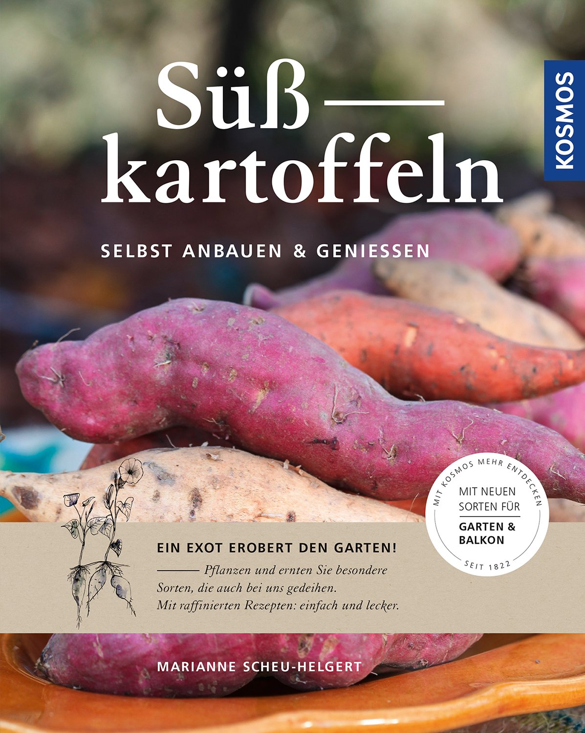 Süßkartoffeln: selbst anbauen und genießen Garden & Plants