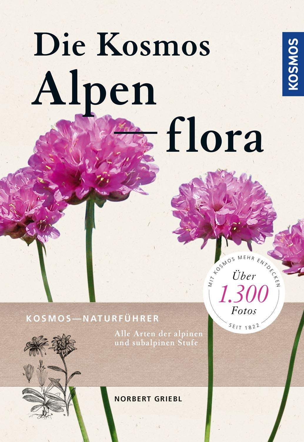 Product Image: Kosmos Alpenflora