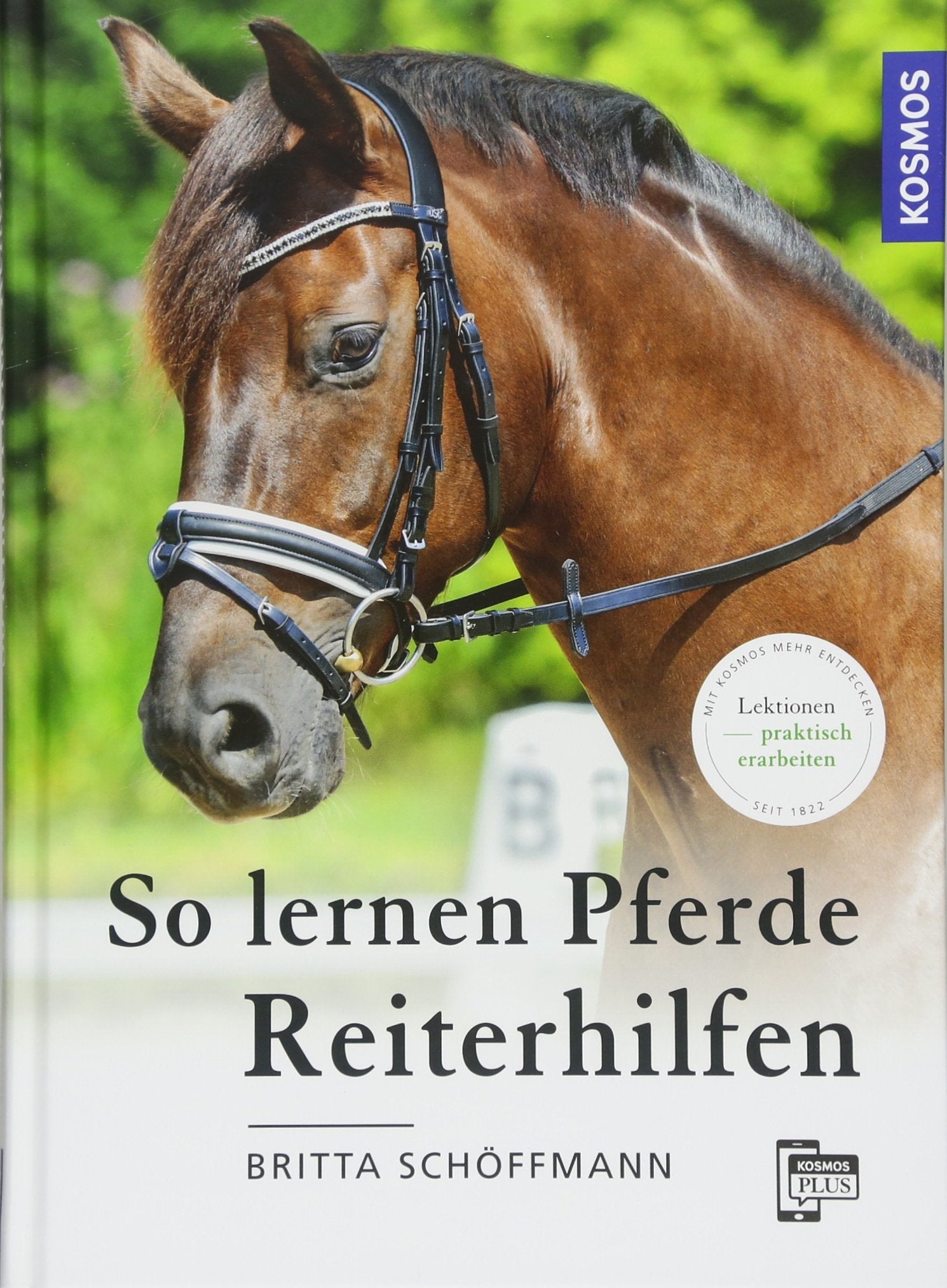 Product Image: So lernen Pferde Reiterhilfen