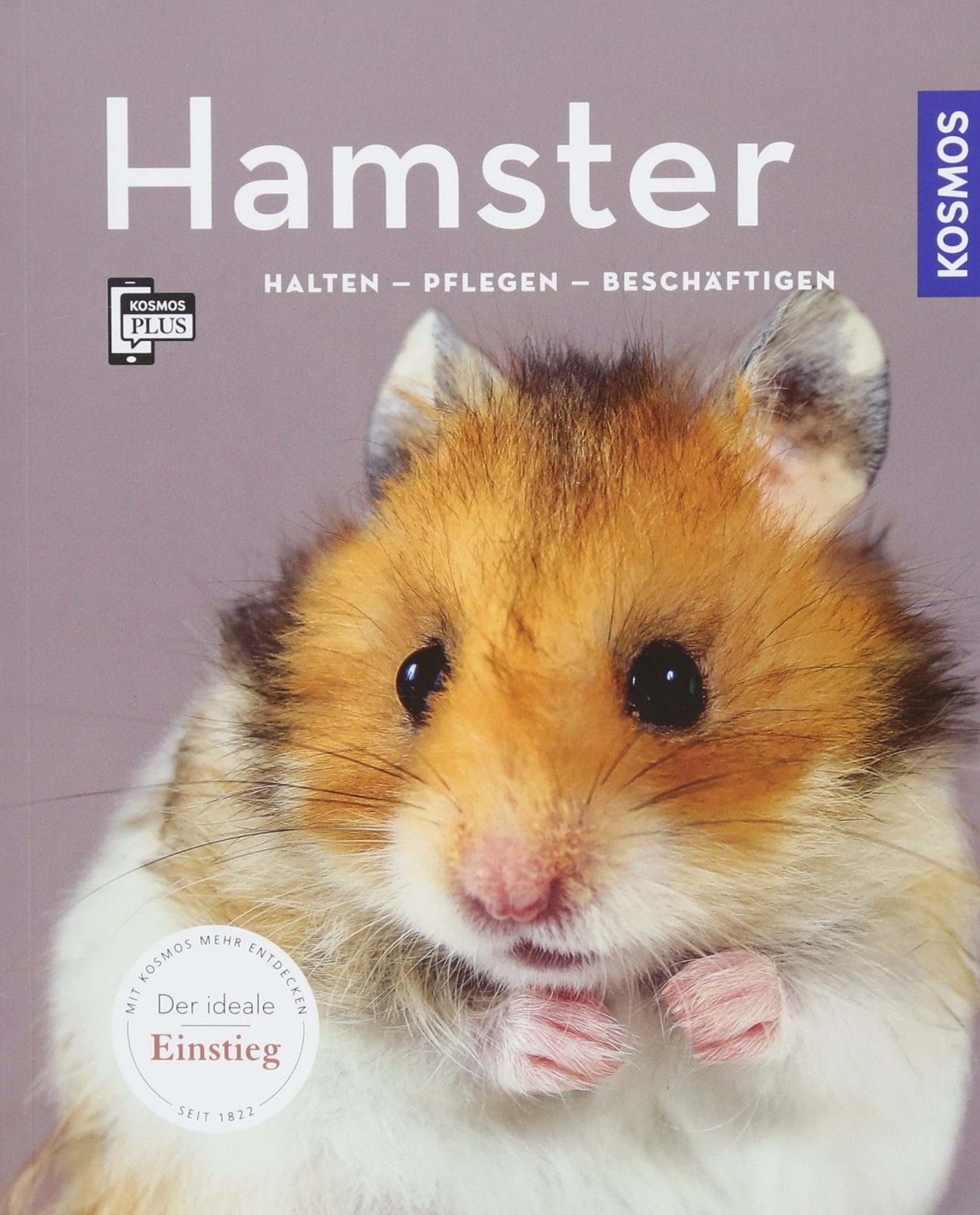 Hamster Pets