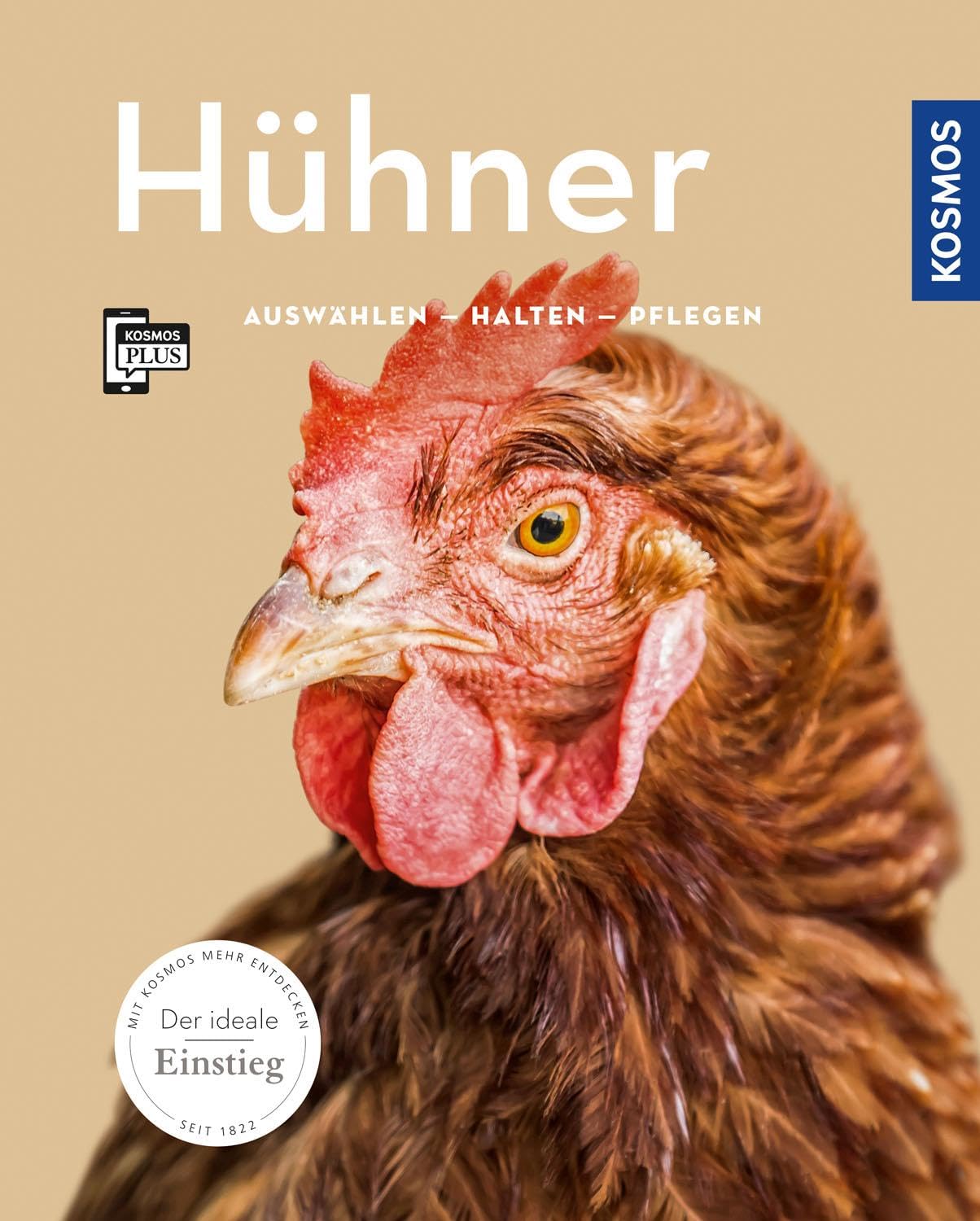 Hühner Pets
