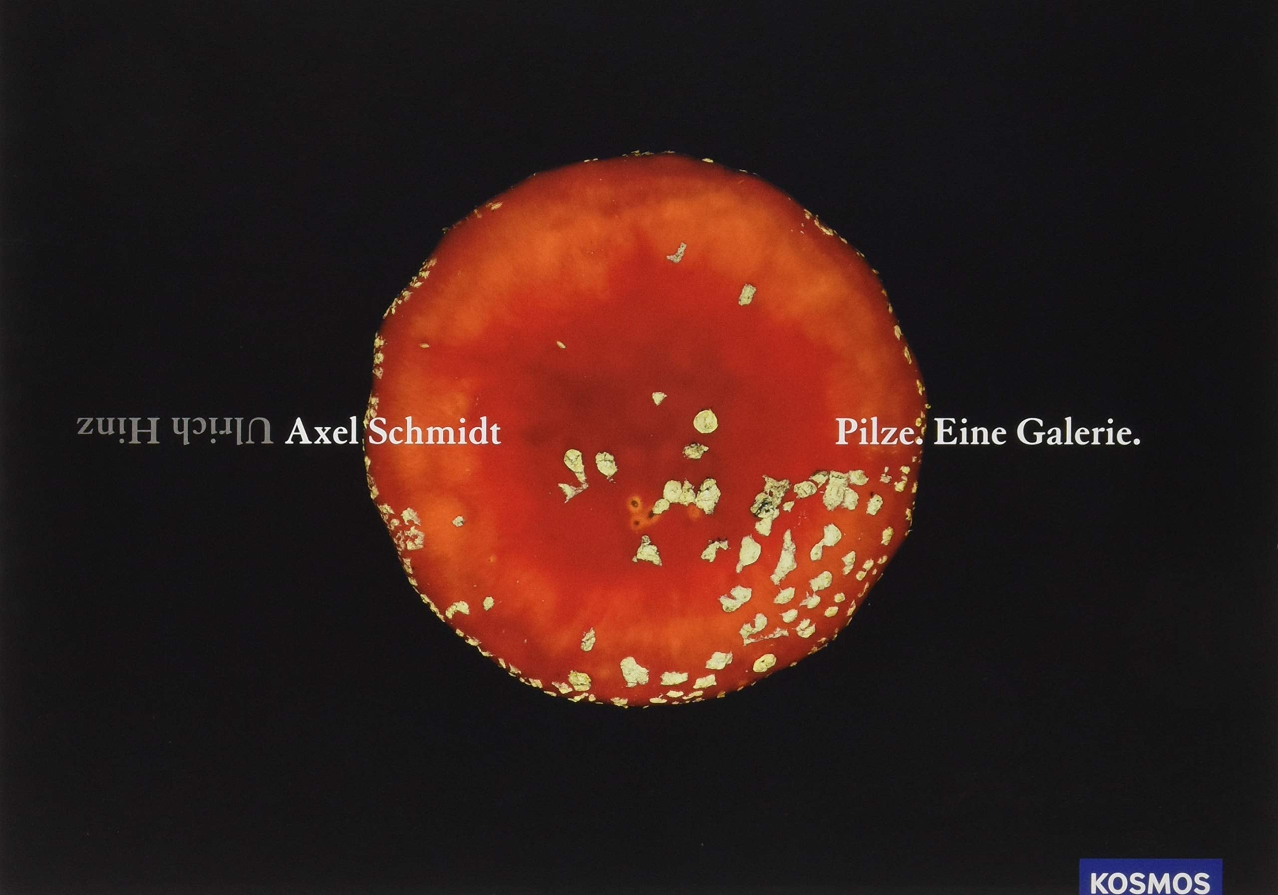 Product Image: Pilze. Eine Galerie