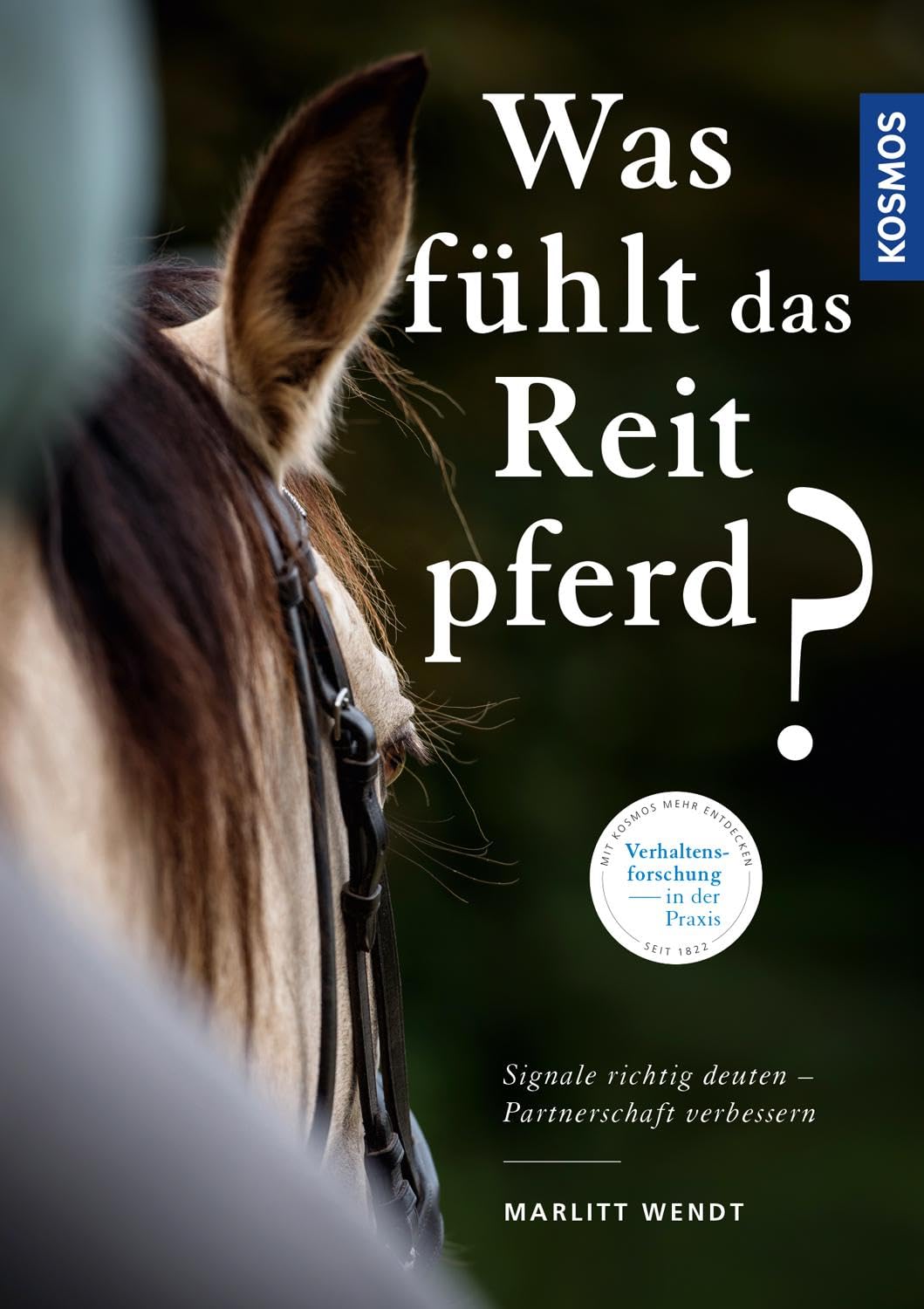 Was fühlt das Reitpferd? Pets