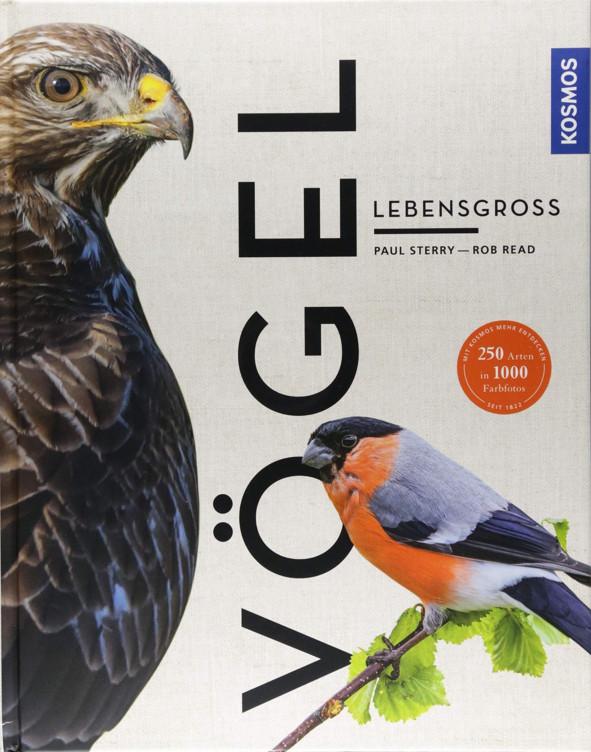 Product Image: Vögel lebensgroß (Großformat)
