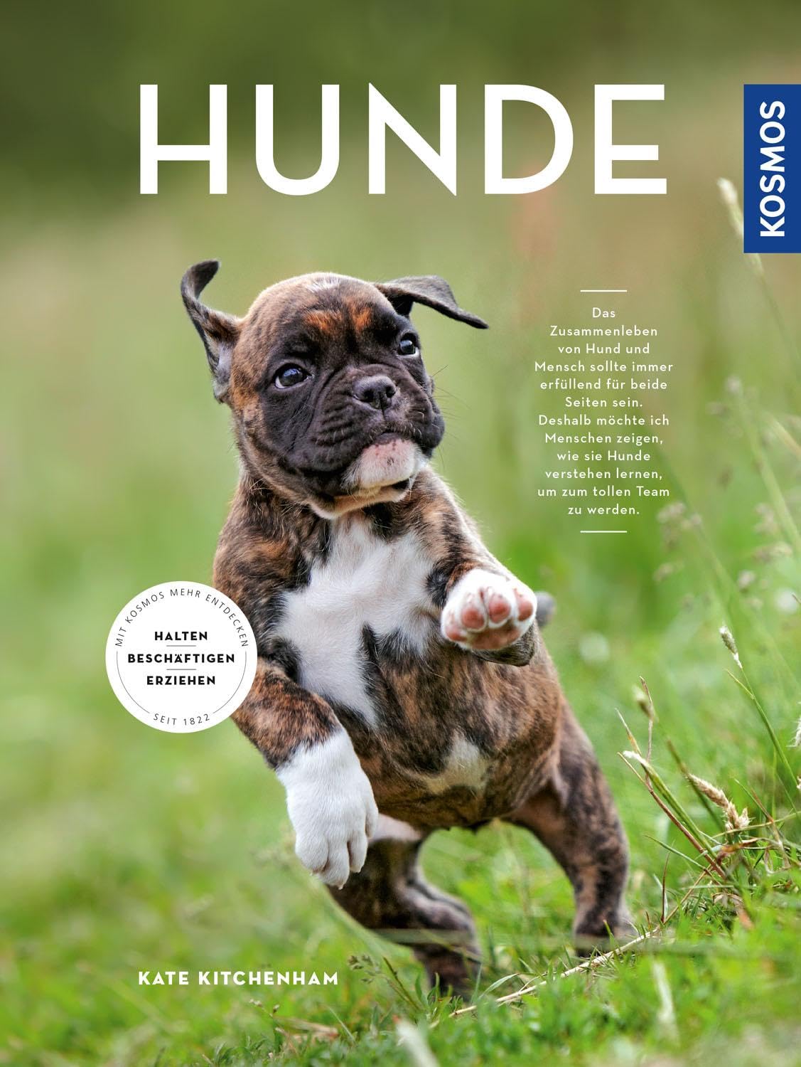 Hunde Pets