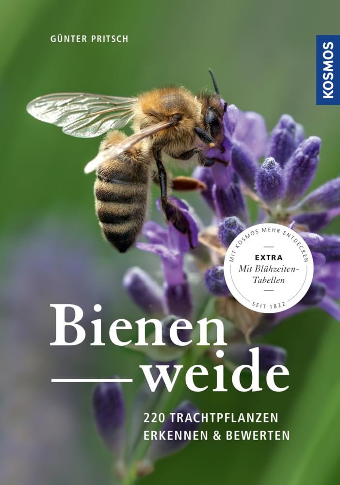 Product Image: Bienenweide