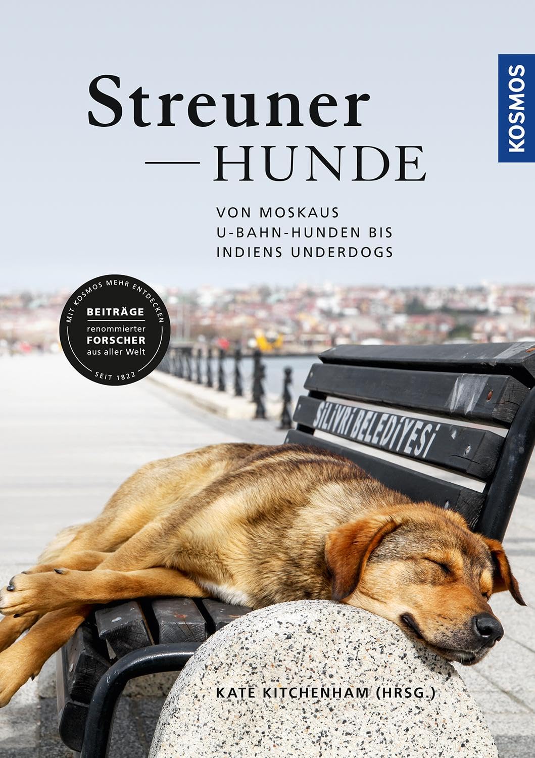 Streunerhunde: Von Moskaus U-Bahn-Hunden bis Indiens Underdogs Pets