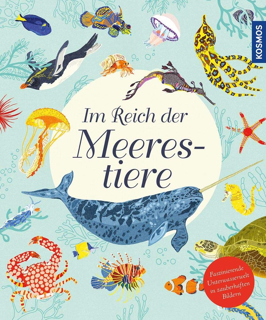 Im Reich der Meerestiere Non-fiction books for kids