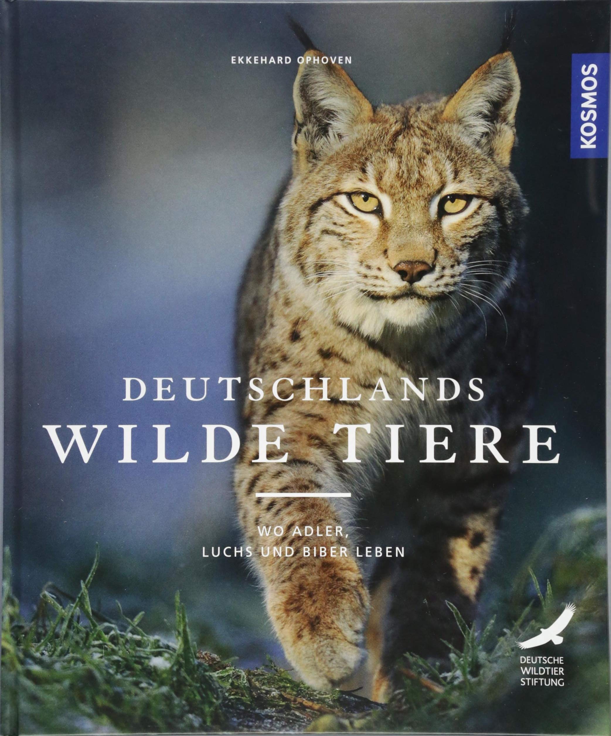 Deutschlands wilde Tiere: Wo Adler, Dachs und Biber leben Leisure, Home & Garden