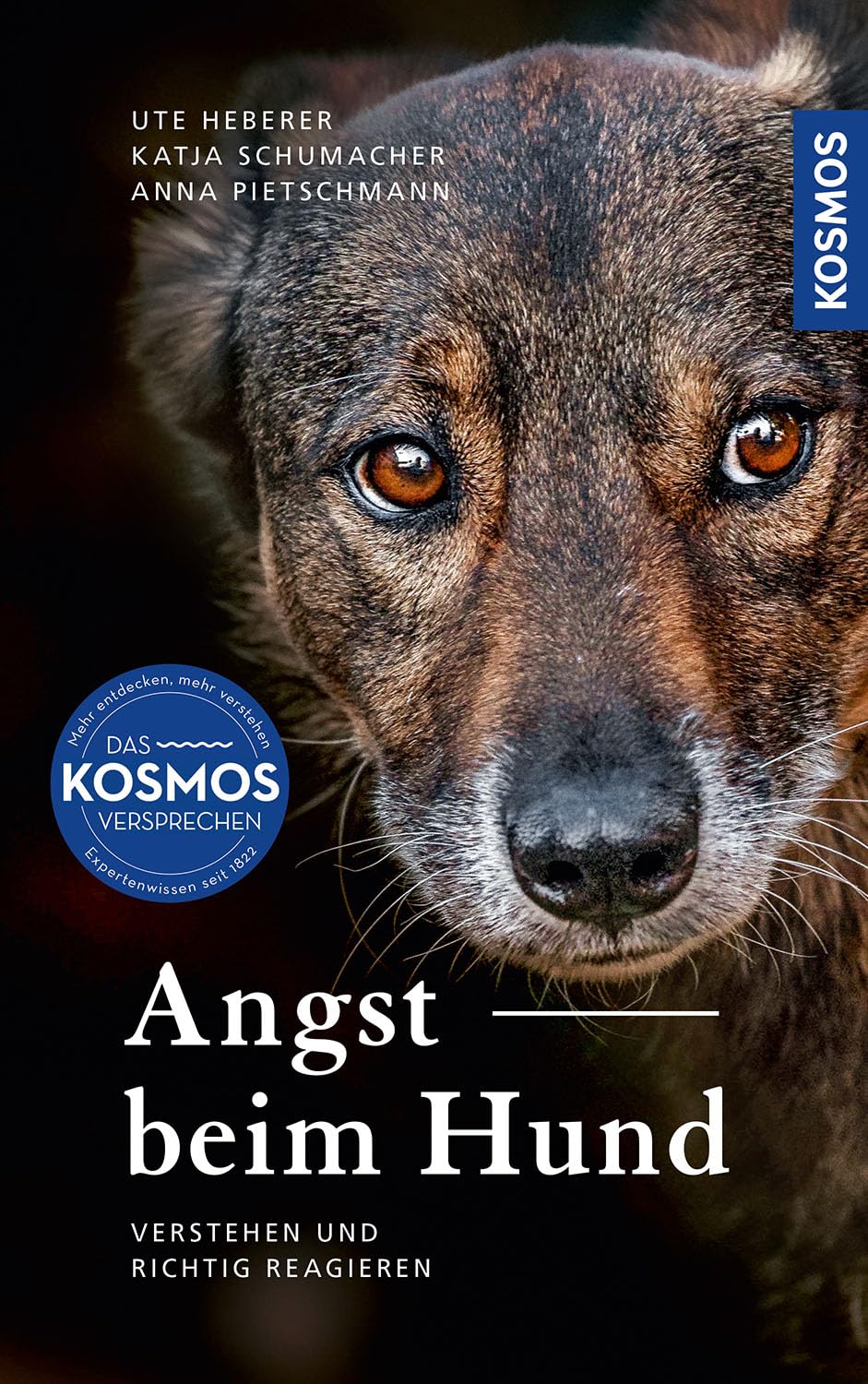 Angst beim Hund Pets