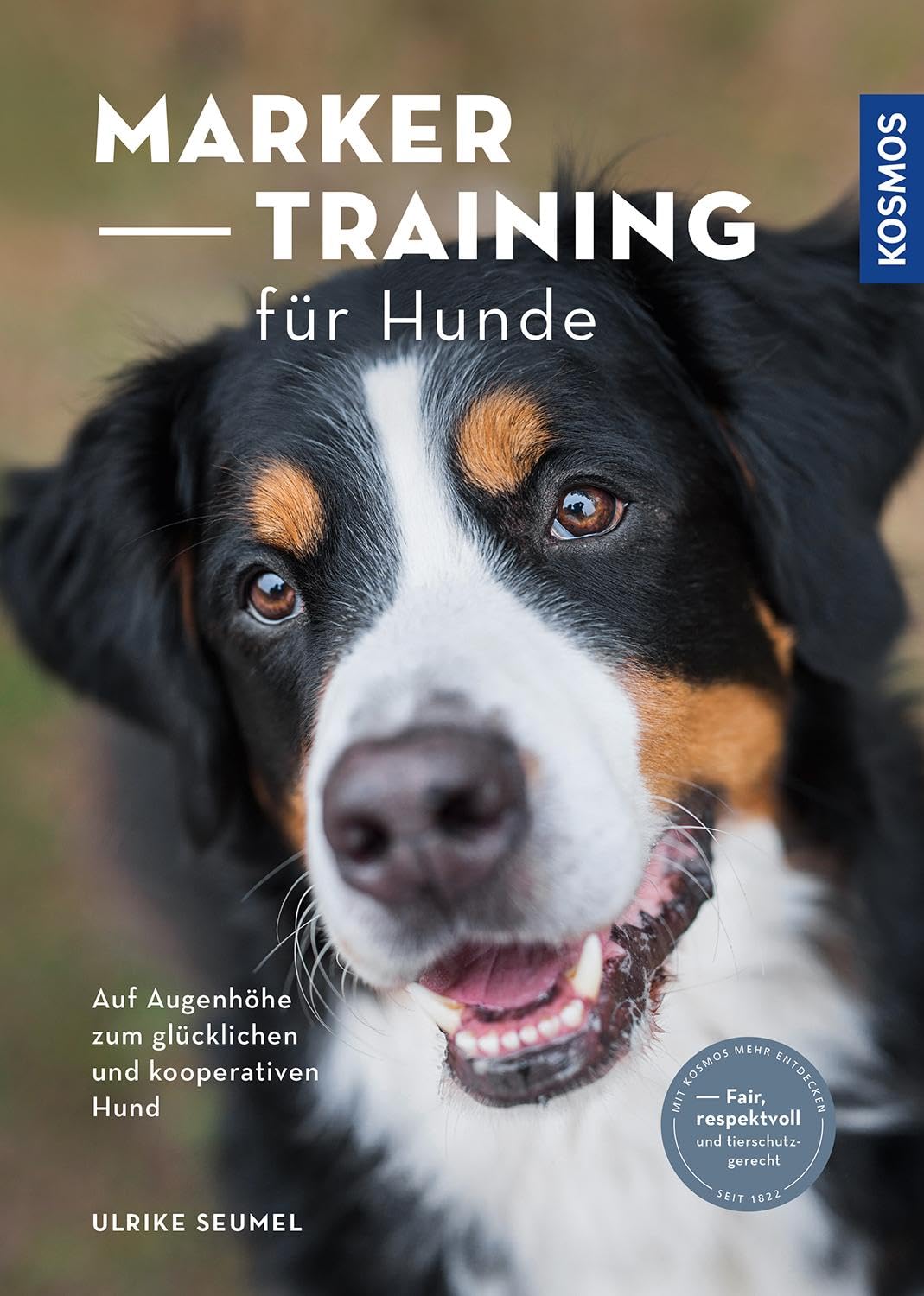 Marker-Training für Hunde Pets